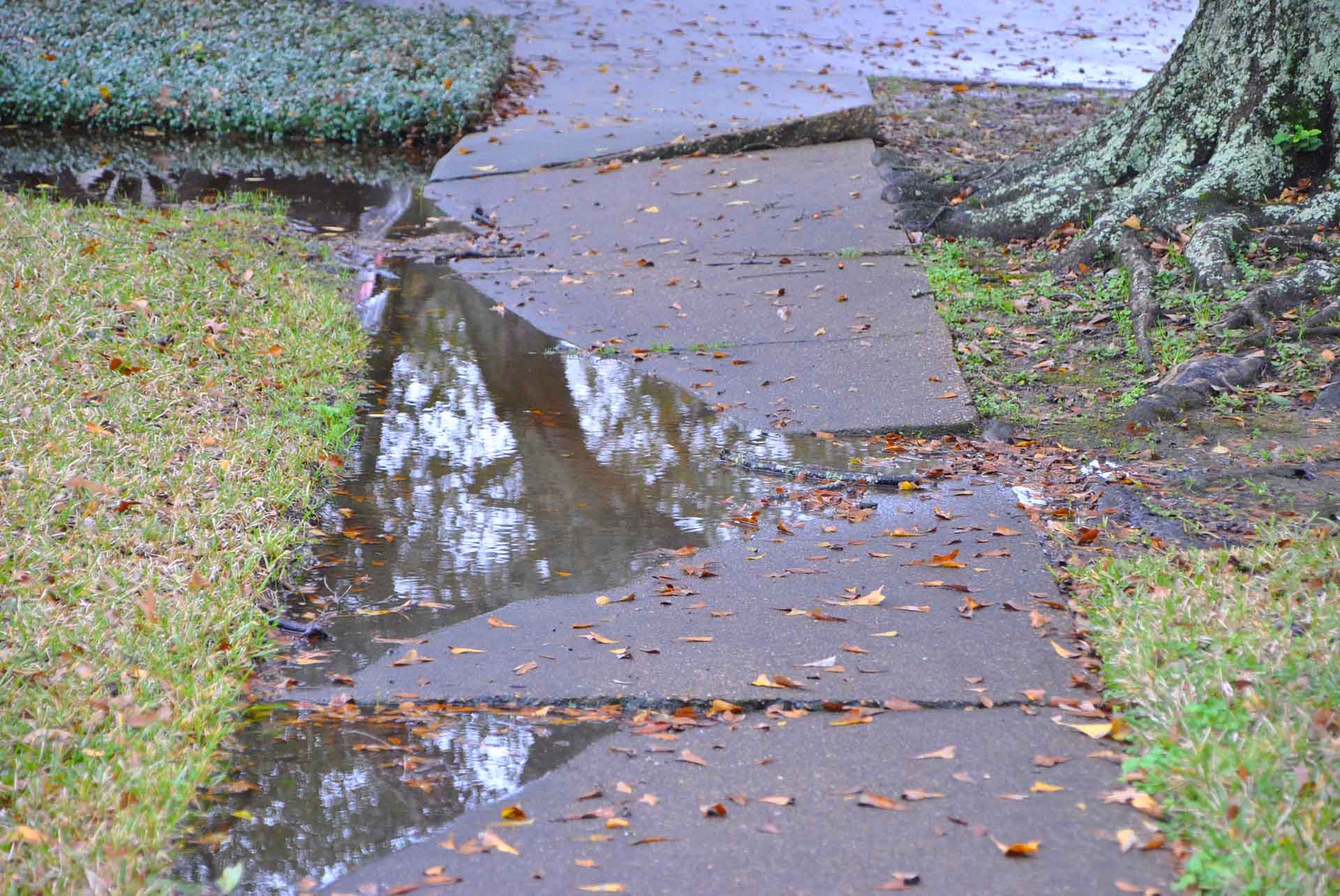 Concrete Repair